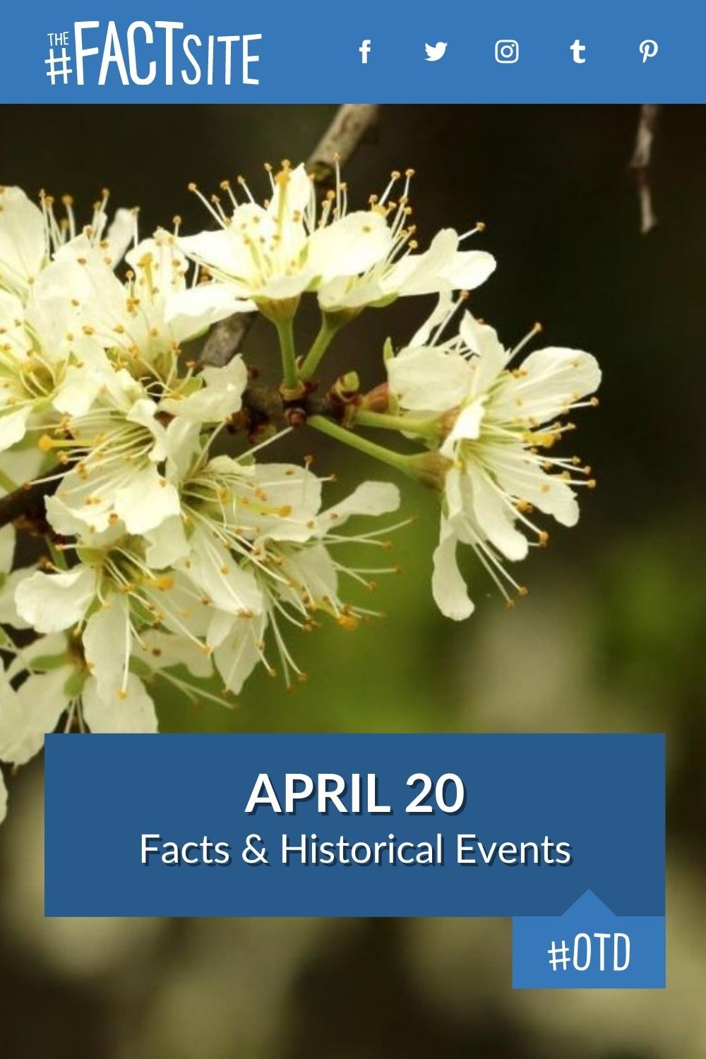April 20 Facts & Historical Events On This Day The Fact Site