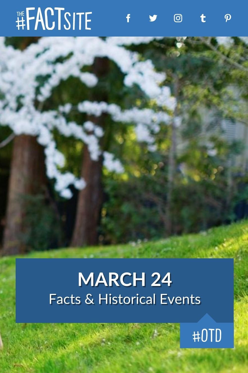 March 24 Facts & Historical Events On This Day The Fact Site