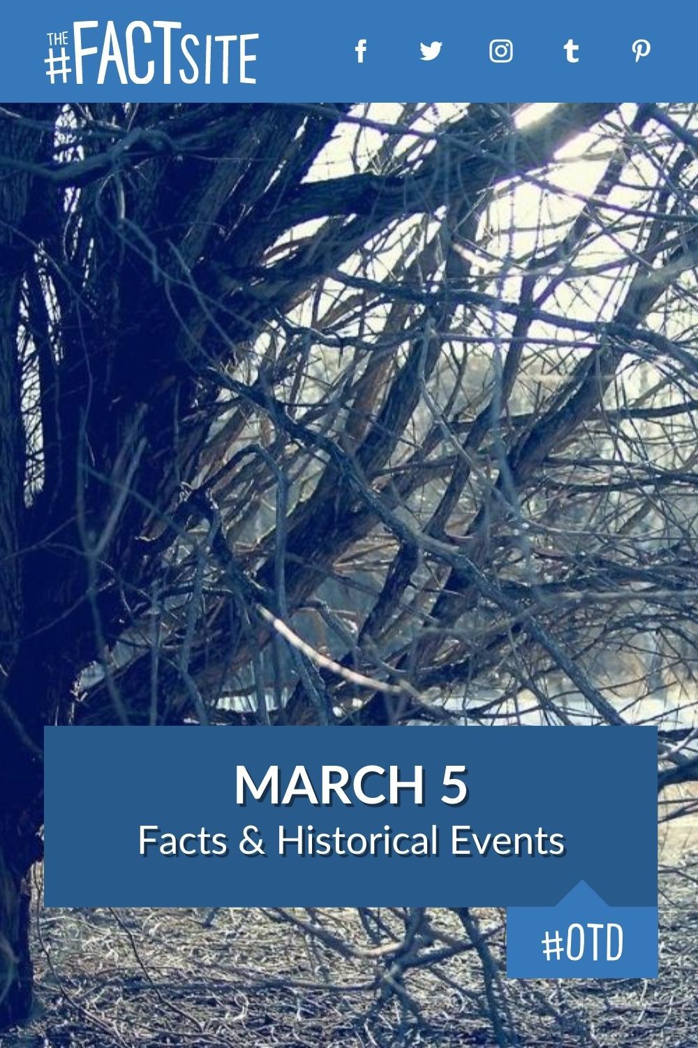 March 5 Facts & Historical Events On This Day The Fact Site