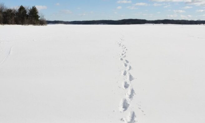 OTD in 1855: Mysterious hoof-like footprints were discovered stretching up to 100 miles (160 km) of snow in Devon