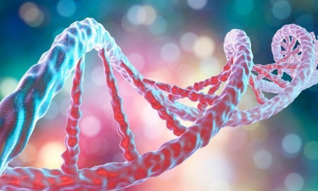 OTD in 1953: The twisted ladder structure of DNA was discovered.