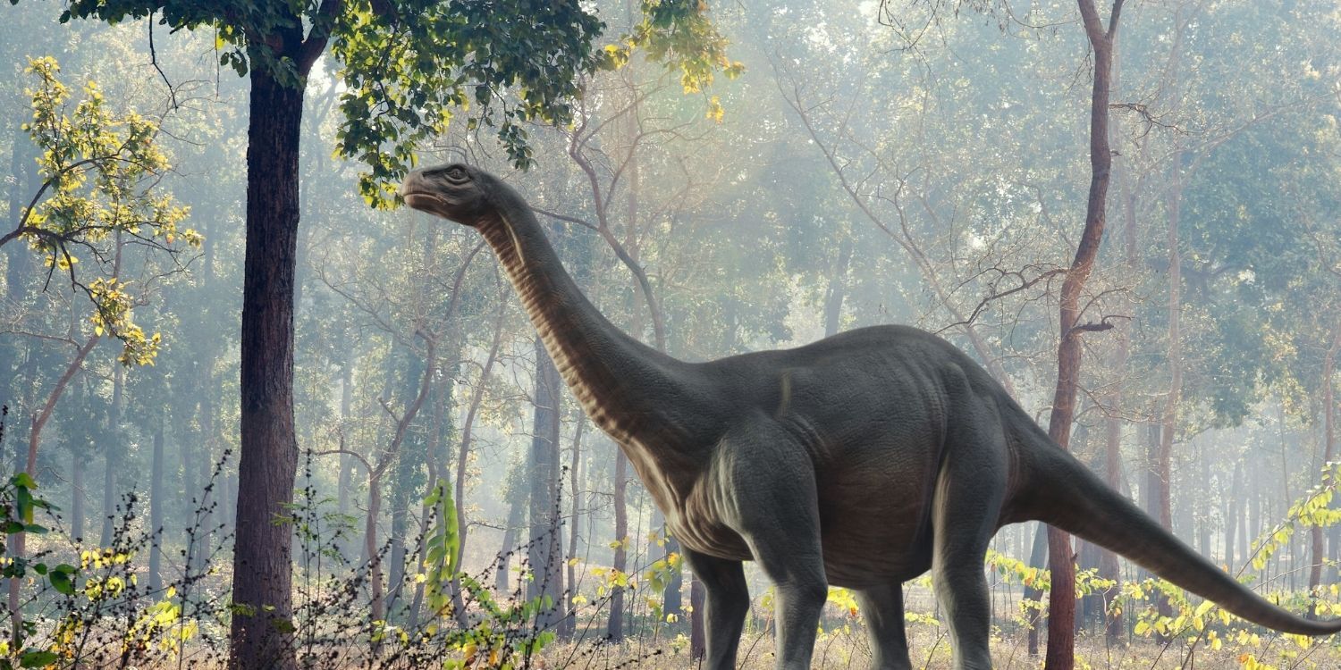 9 Beefy Facts About The Brontosaurus The Fact Site