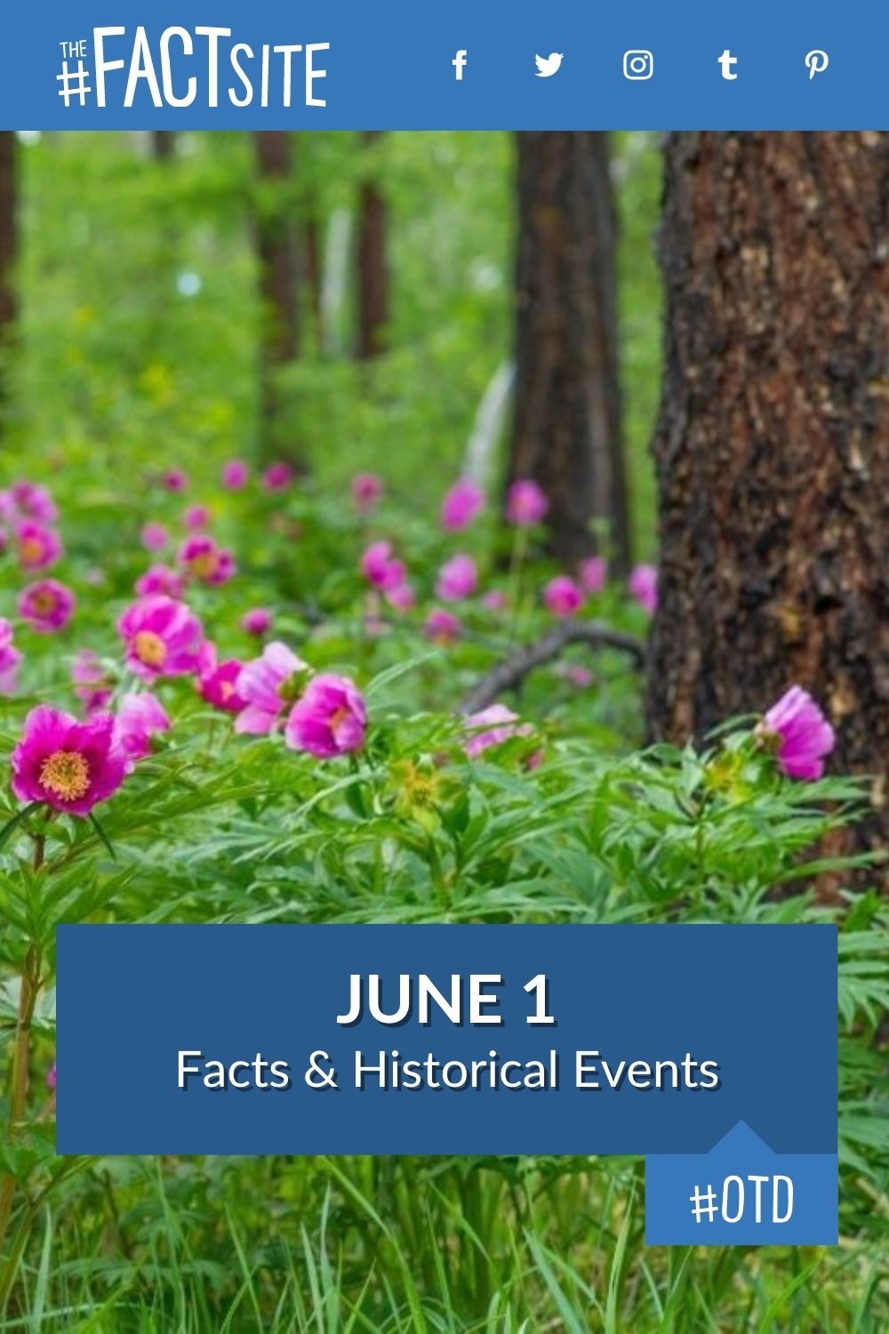 june-1-facts-historical-events-on-this-day-the-fact-site