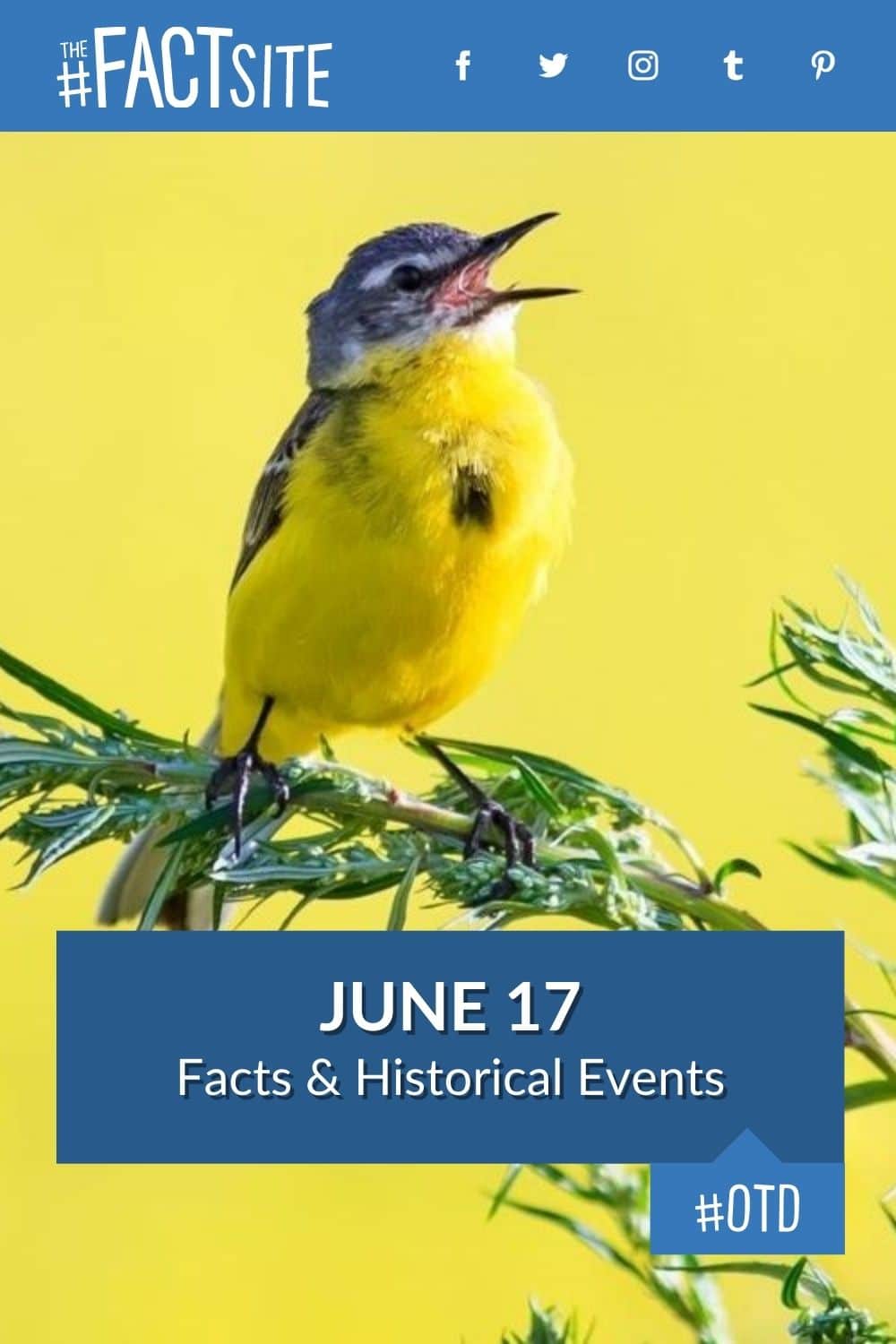 june-17-facts-historical-events-on-this-day-the-fact-site