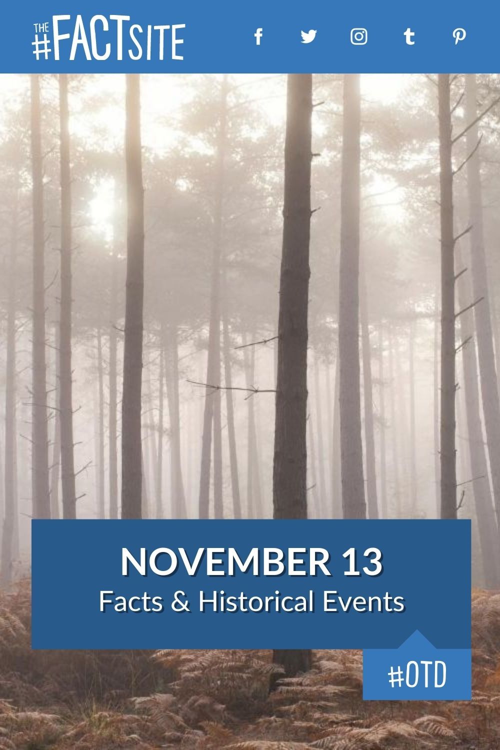 November 13 Facts & Historical Events On This Day The Fact Site