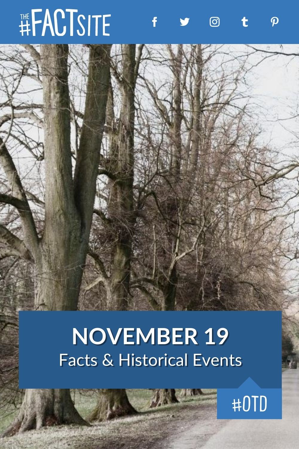 november-19-facts-historical-events-on-this-day-the-fact-site