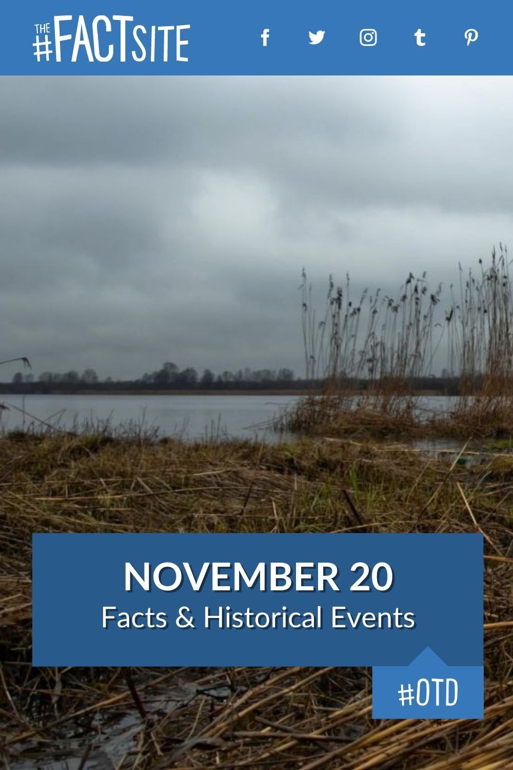 november-20-facts-historical-events-on-this-day-the-fact-site