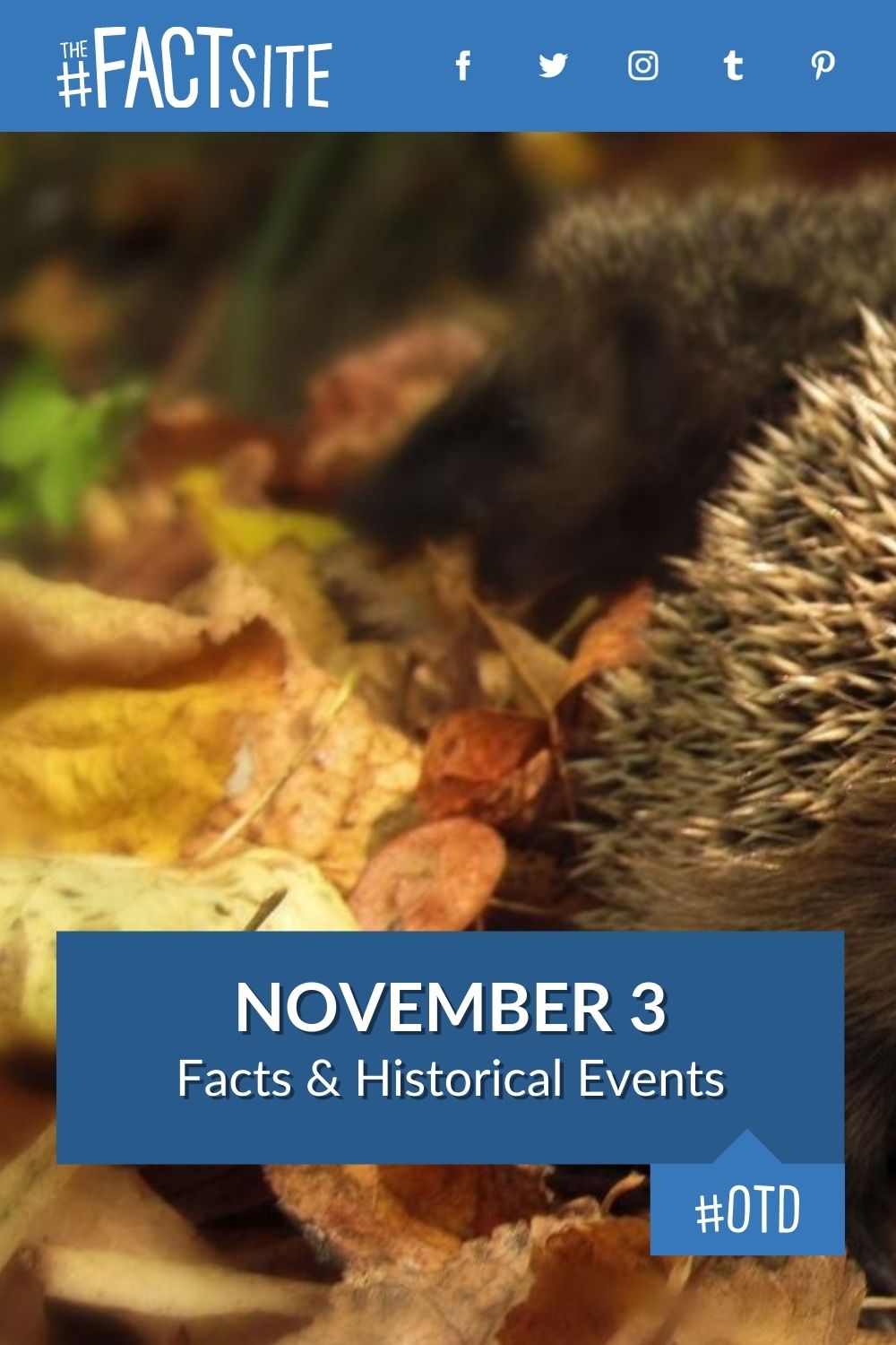 November 3 Facts & Historical Events On This Day The Fact Site