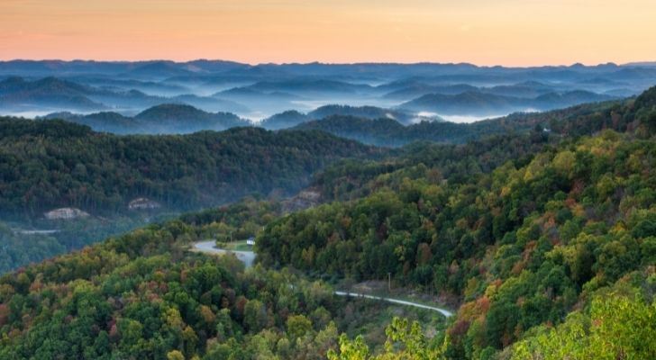 Rich green landscape of forest land and a river in Kentucky