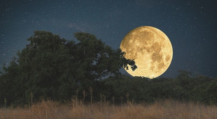 The big bright Harvest Moon in the sky