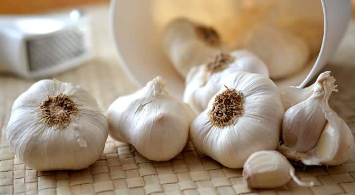 Eating more garlic reduces the garlic smell