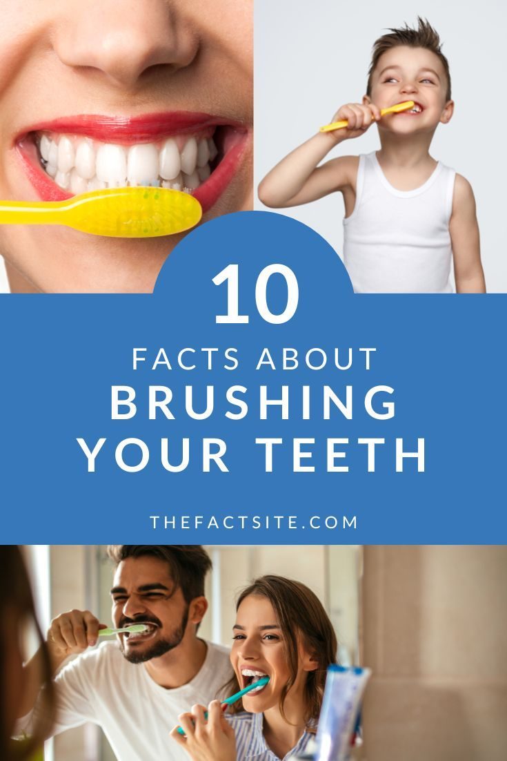 10-facts-about-brushing-your-teeth-the-fact-site