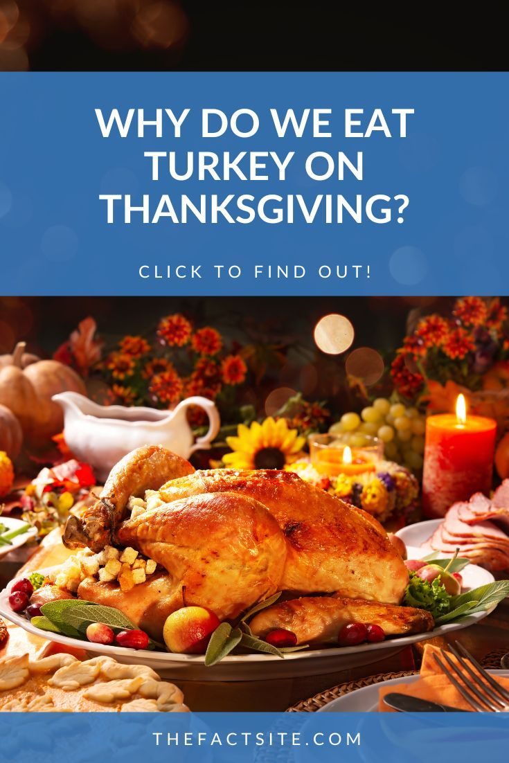 Why Do We Eat Turkey on Thanksgiving? - The Fact Site
