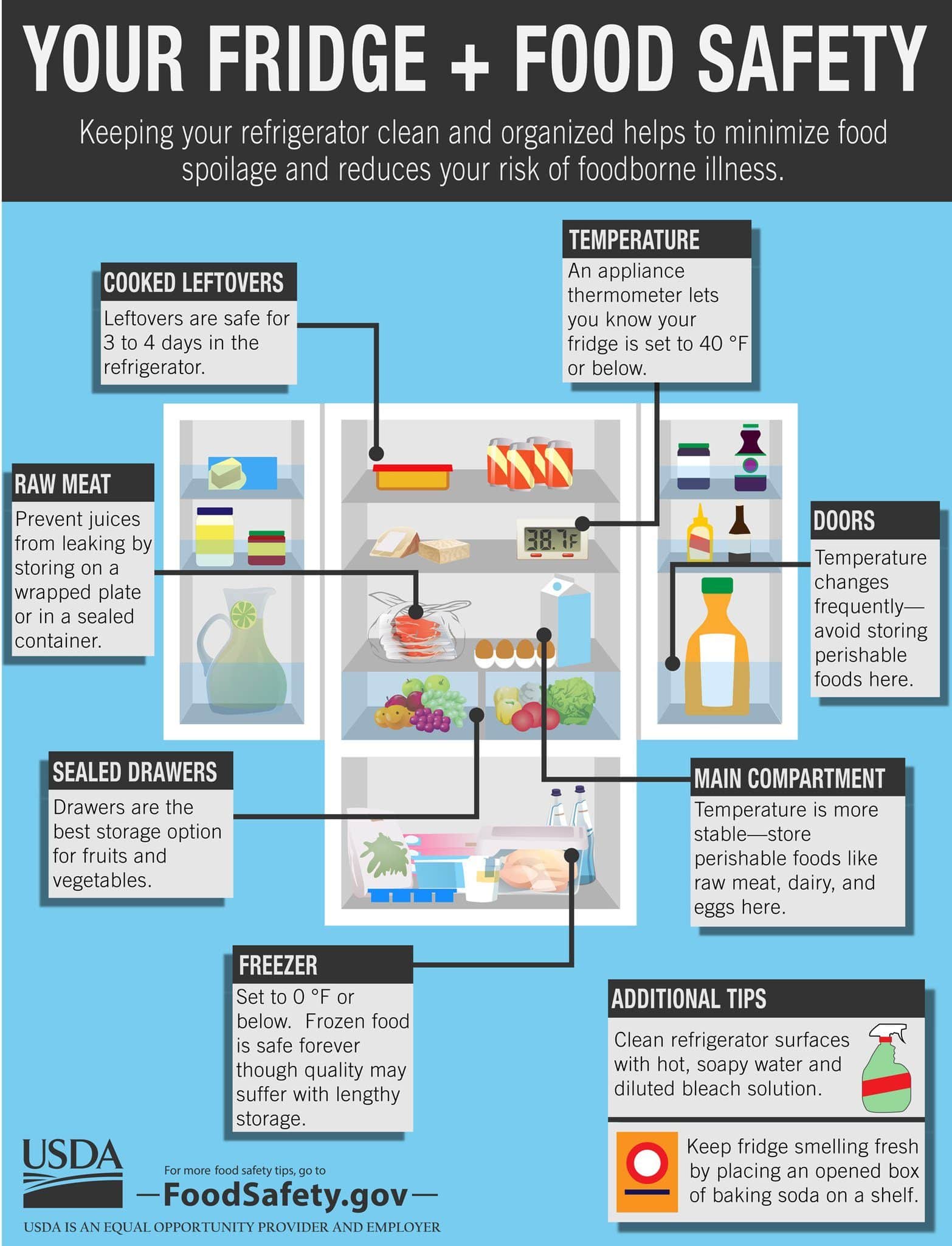 Your Fridge & Food Safety