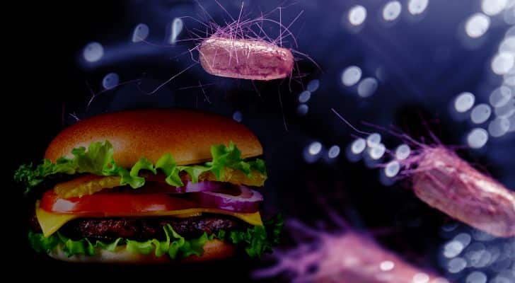 Ecoli and a burger