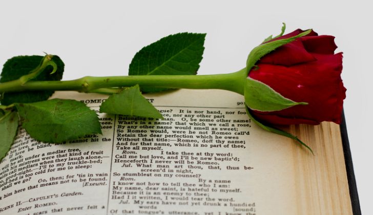 A single red rose on a Romeo and Juliet book