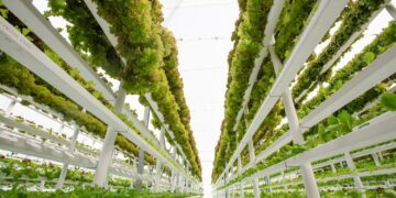 What is vertical farming?