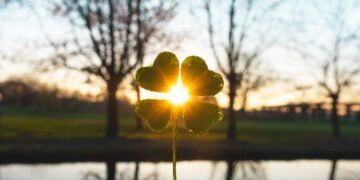 Facts About Four Leaf Clovers