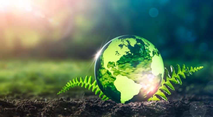 Green globe resting on soil and fern, representing Earth Day