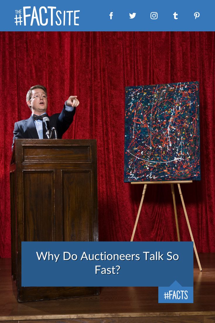 why-do-auctioneers-talk-so-fast-the-fact-site