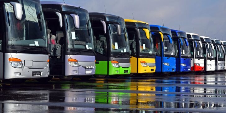 Facts about buses