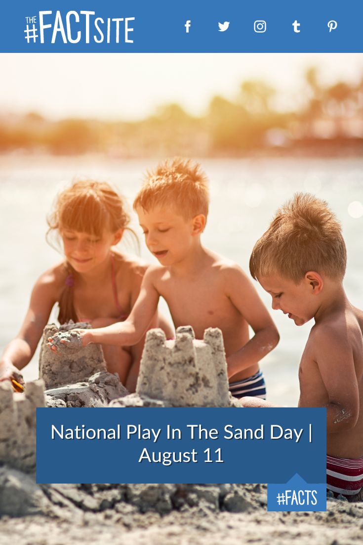 National Play In The Sand Day August 11 The Fact Site