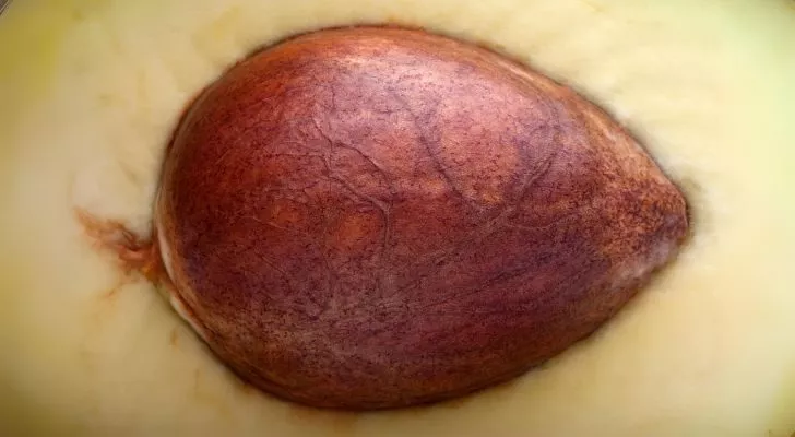 A dark brown pit in the center of an avocado