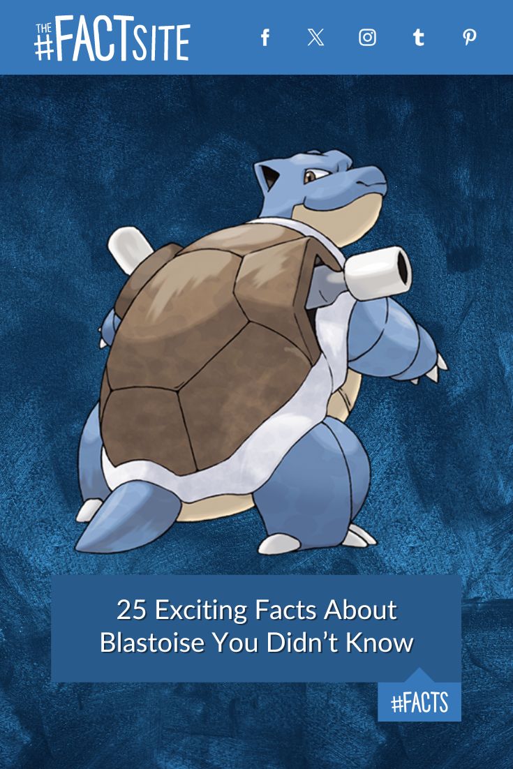 25 Exciting Facts About Blastoise You Didn’t Know - The Fact Site