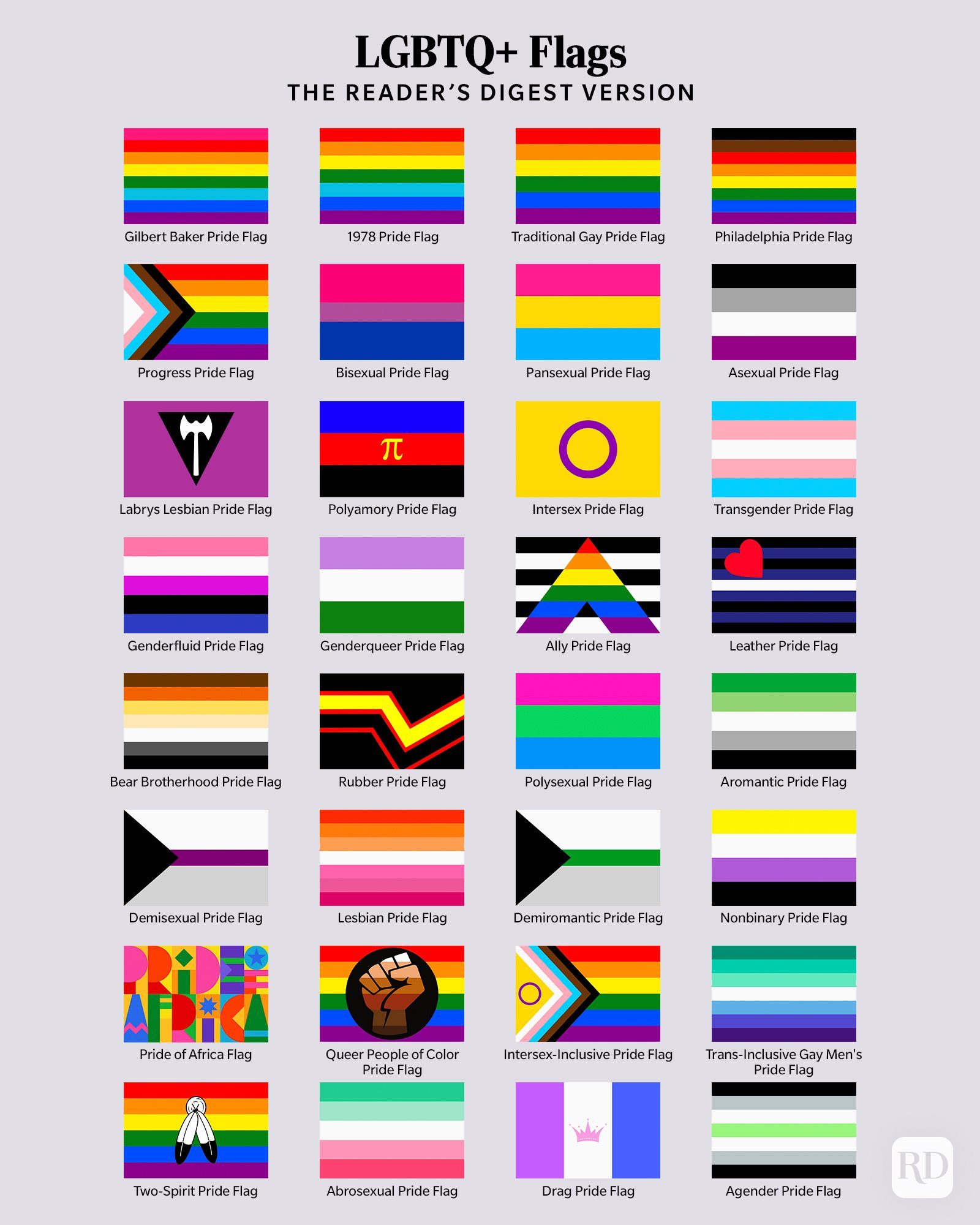 LGBTQIA+ Pride Flags InfoGraphic