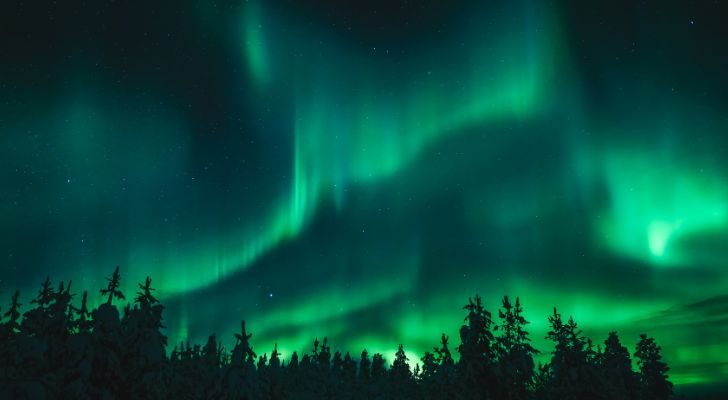 The Aurora Borealis in a bright green hue above a forest