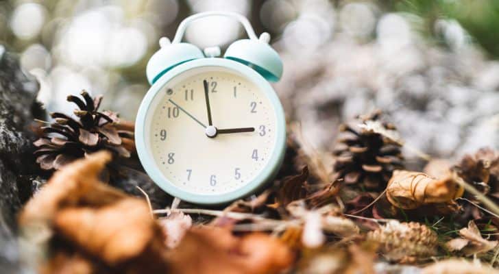 A clock sitting outside amongst leaves and pinecones