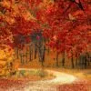 Fall Equinox Facts