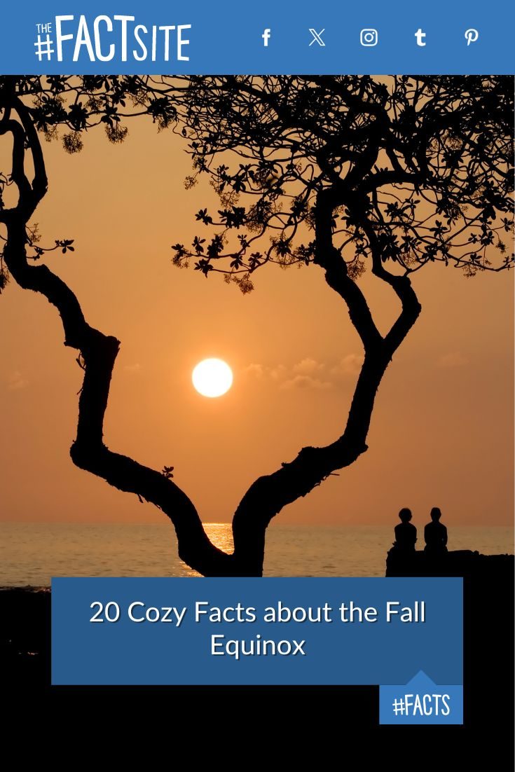 20 Cozy Facts about the Fall Equinox The Fact Site