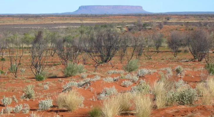 Mount Conner, also known as Artilla or Atila, in the Australian outback