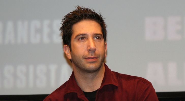 David Schwimmer at the premiere of a movie