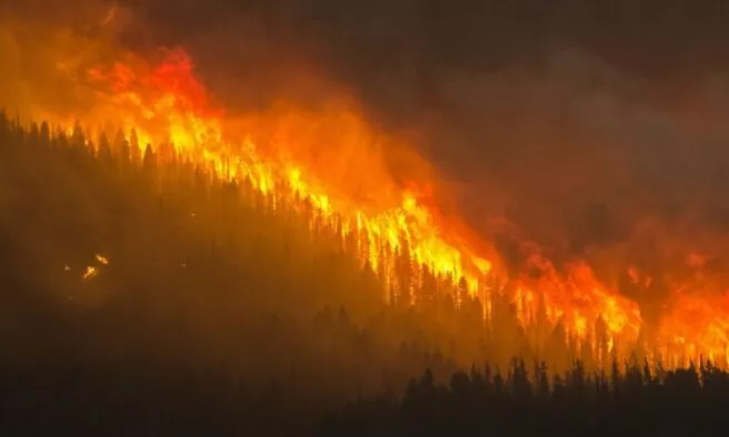 OTD in 1871: Wisconsin was struck by the deadliest wildfire in US history.