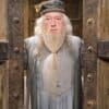 Professor Albus Dumbledore standing in front of wooden doors wearing a hat and robes