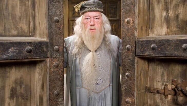 Professor Albus Dumbledore standing in front of wooden doors wearing a hat and robes