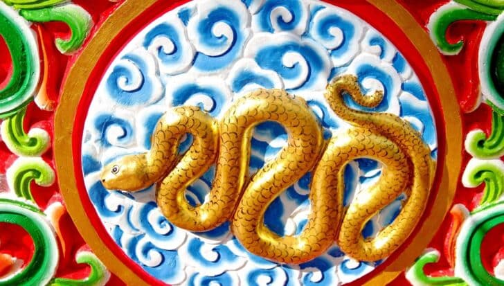 Golden snake motif on a colorful circular background with swirling blue clouds and vibrant red and green accents